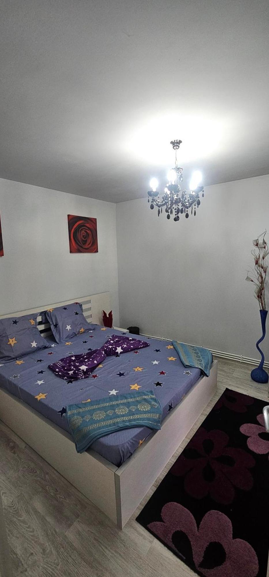 Garsoniera Regim Dni Apartment Petrosani Bagian luar foto